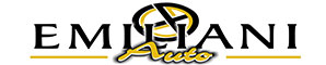 Emiliani Auto - Concessionaria Terni Logo